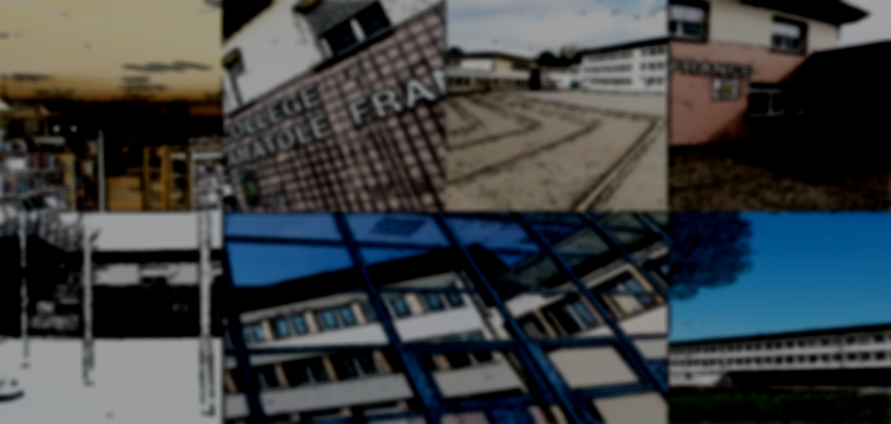 collège anatole france